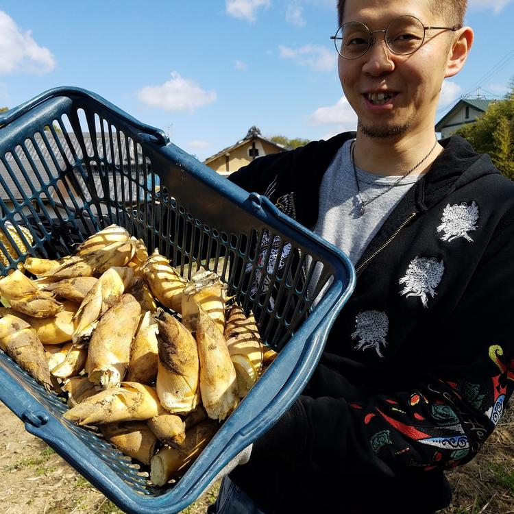松原市にて朝採りたけのこ