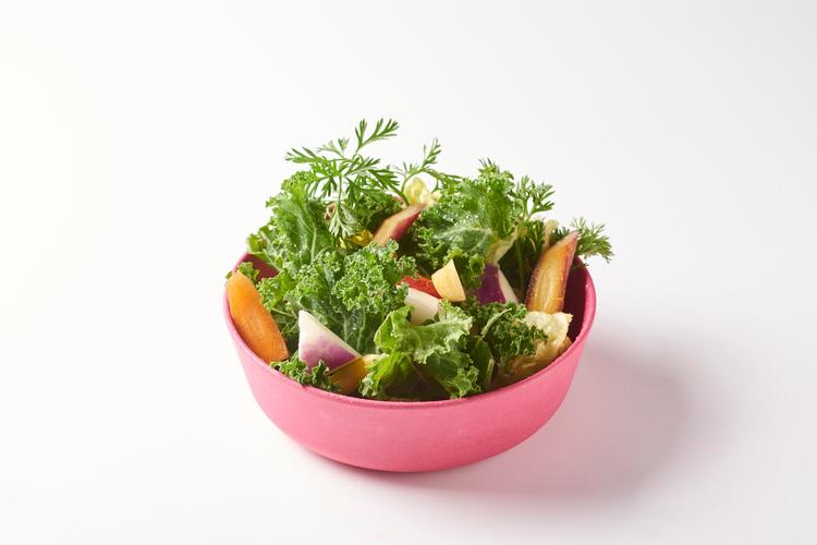 有機野菜のサラダ