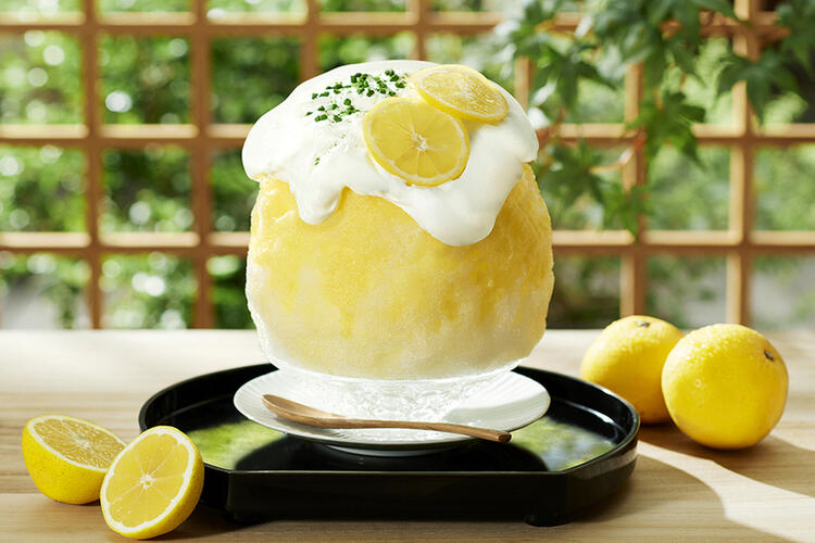 とろふわかき氷 湘南ゴールド