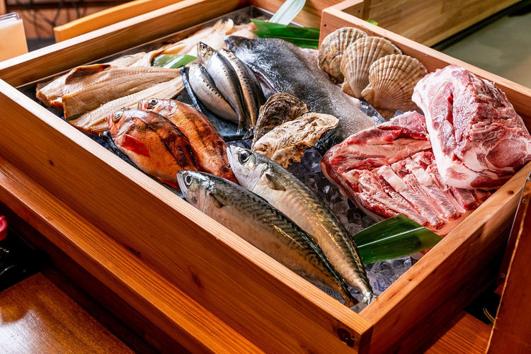 魚ショーケース