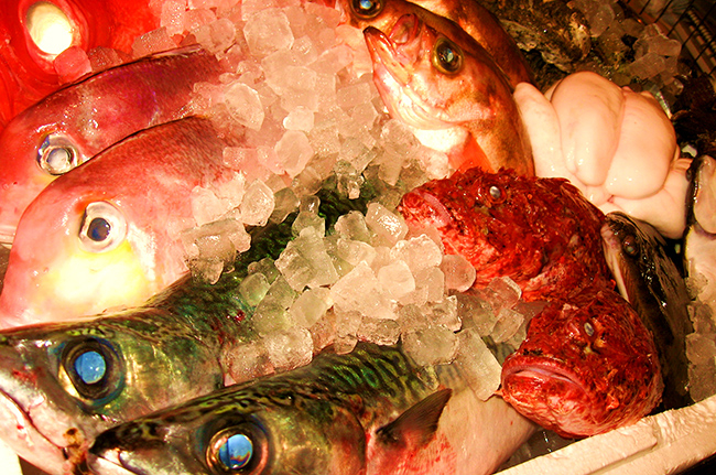 新鮮な魚介も扱います!