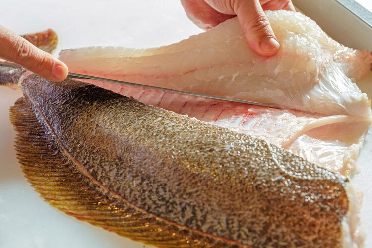 魚が好きな方は大歓迎◎