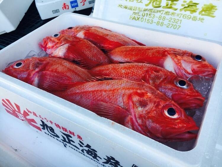 市場で目利きをした鮮魚を使用