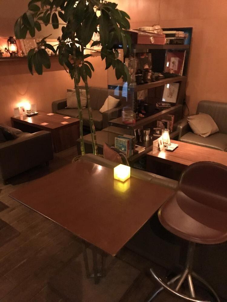 観葉植物が彩る穏やかな空間♪
