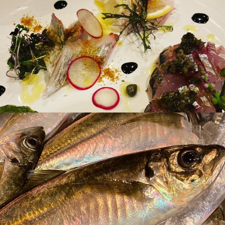 魚のスキルも身につきます