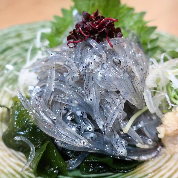 江の島名物!生シラス