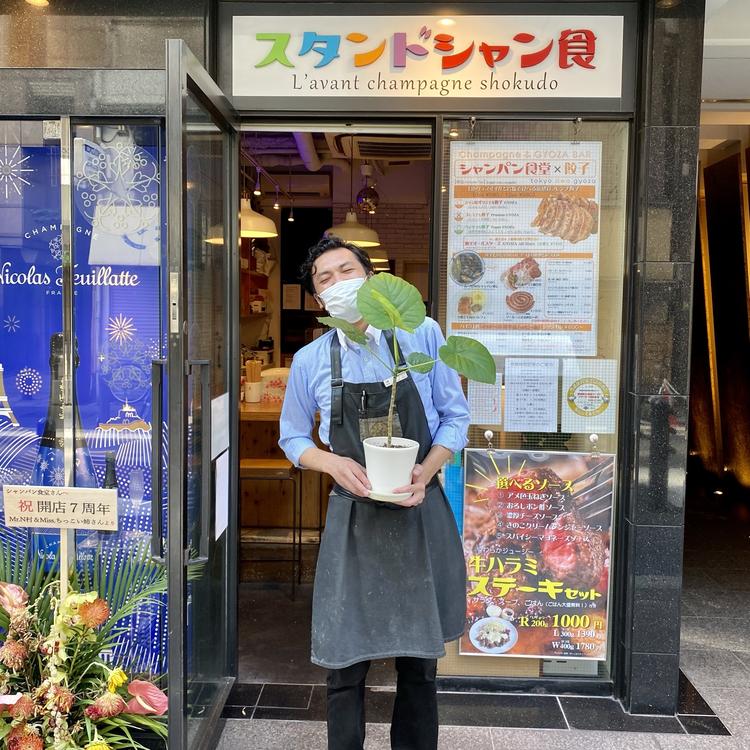 現在グループ7店舗!