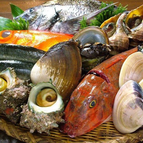 魚浜 蒲田