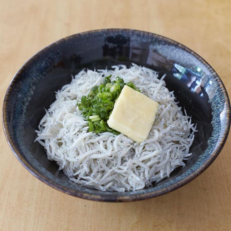 土佐しらす食堂二万匹