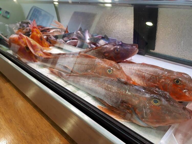 朝とれたばかりの魚をご提供