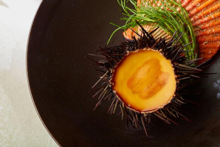 一流の食材を使って一流の料理を