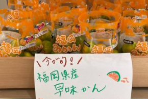 ▲果物も好評です!