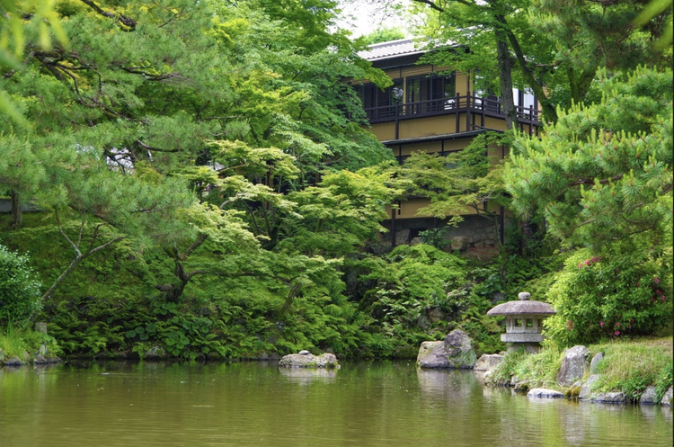 円山公園側から見たeXcafe祇園八坂