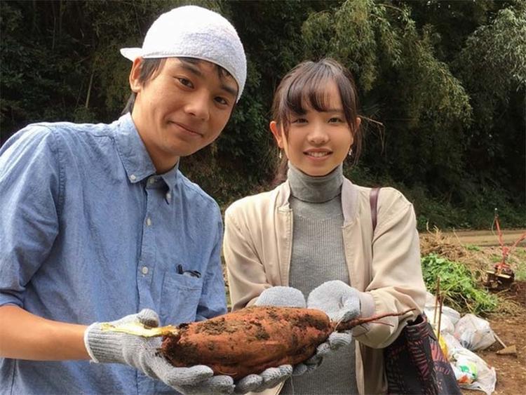 三浦の提携農家さんでの収穫体験