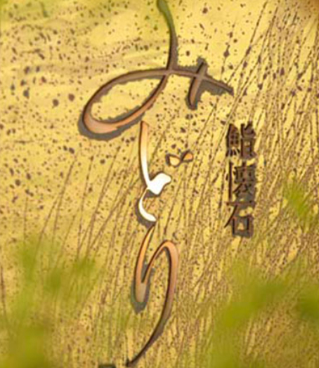 鮨懐石 みどり