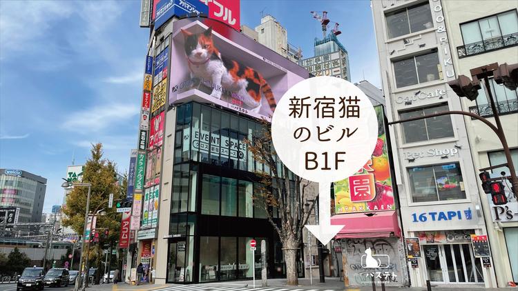 話題の3D巨大猫ビジョンのビル