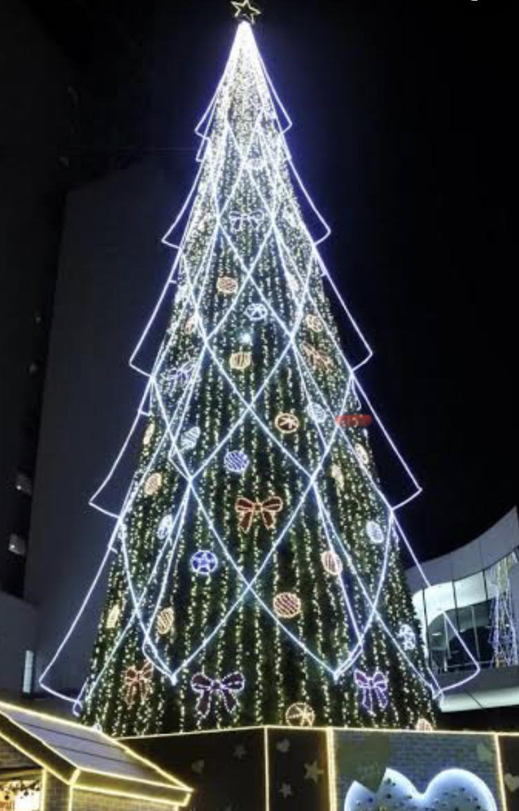 1階 クリスマスツリー
