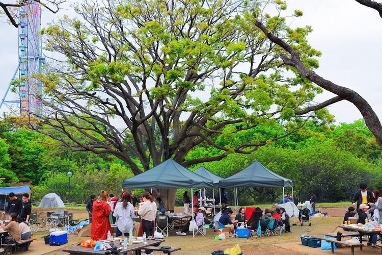 定番カフェメニューからBBQメニューも!