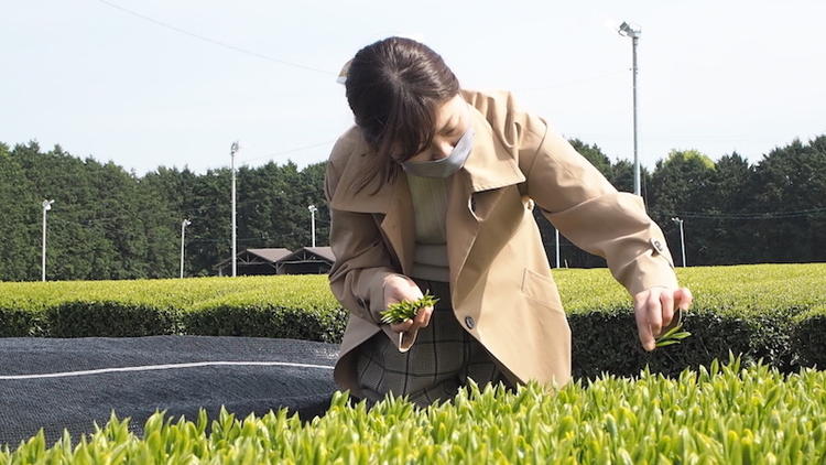 生産地まで訪ねる事もしばしば