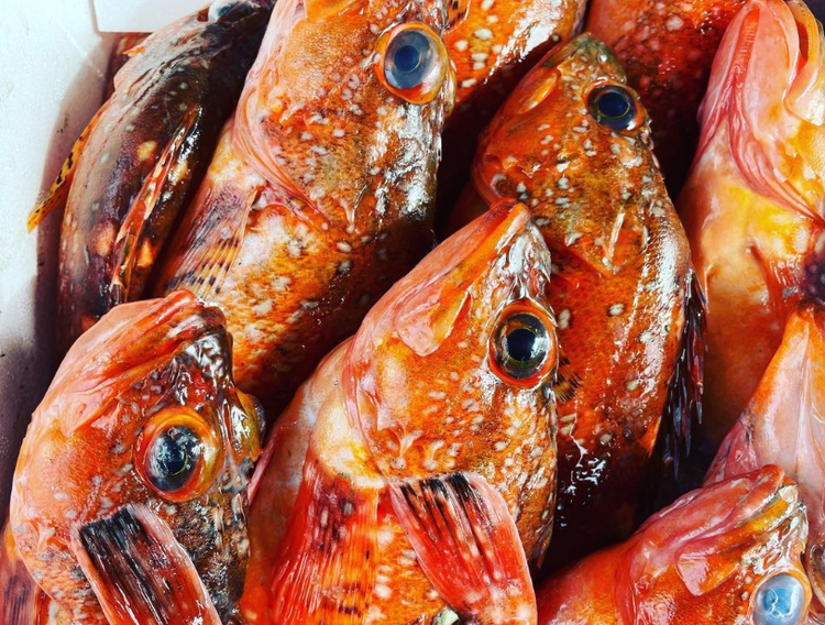 魚料理とすし 下の一色 グローバルゲート店