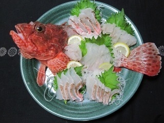魚介の知識や調理技術も身につきます