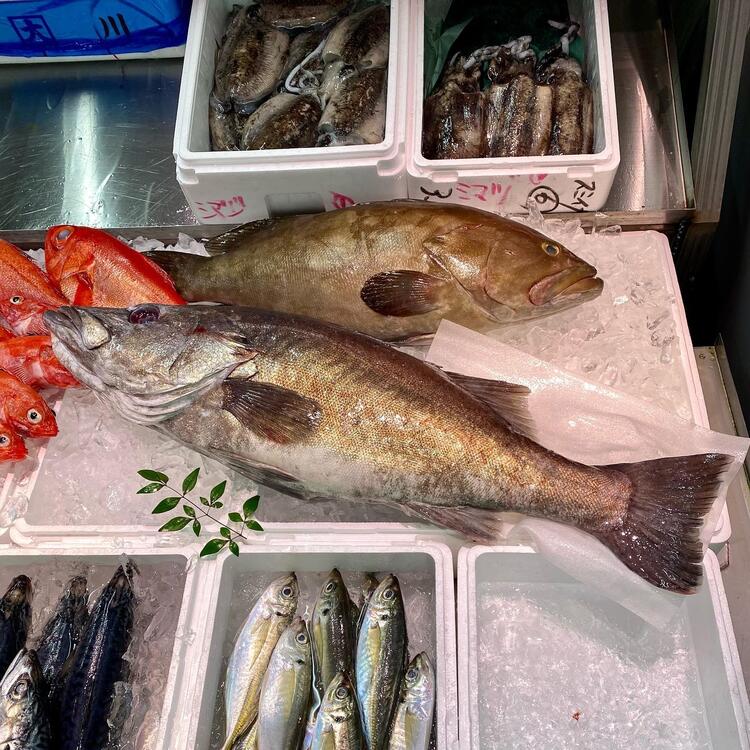市場から仕入れる鮮魚!