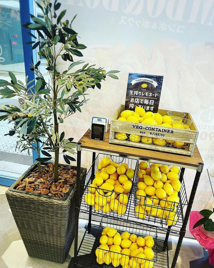 レモネードは毎日お店でレモンを絞ってます