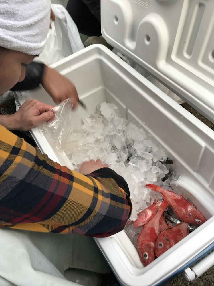 仕入れから学べる!
