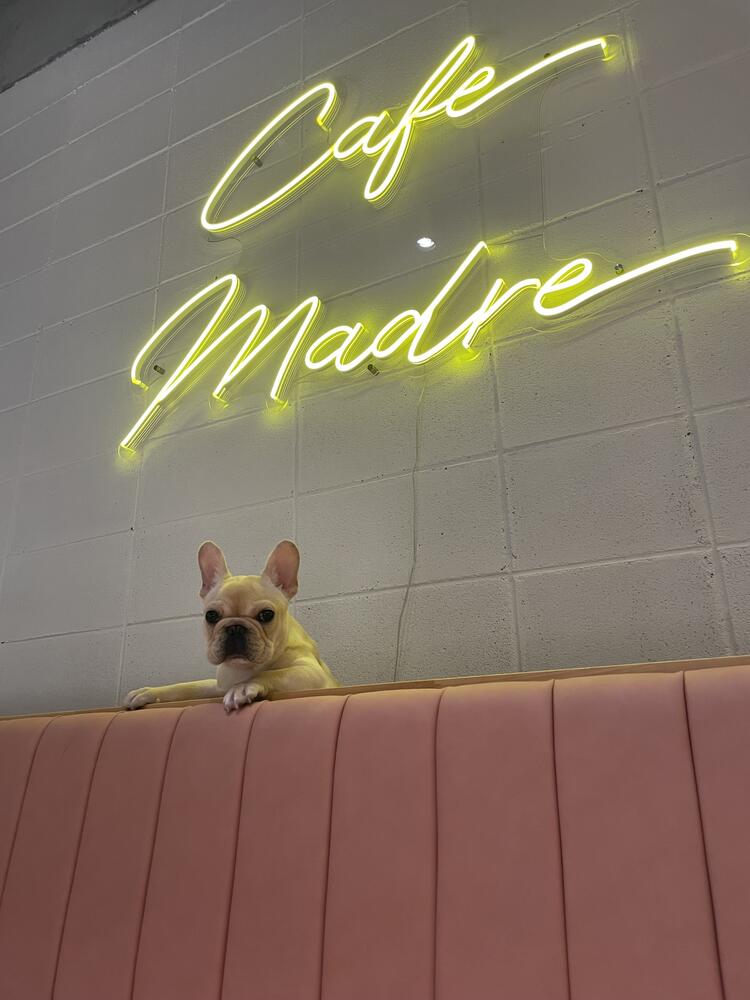 cafe madre