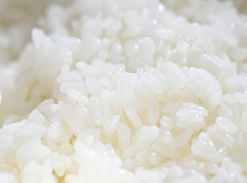 自慢だしをかけた「だし茶漬け」がイチ押し