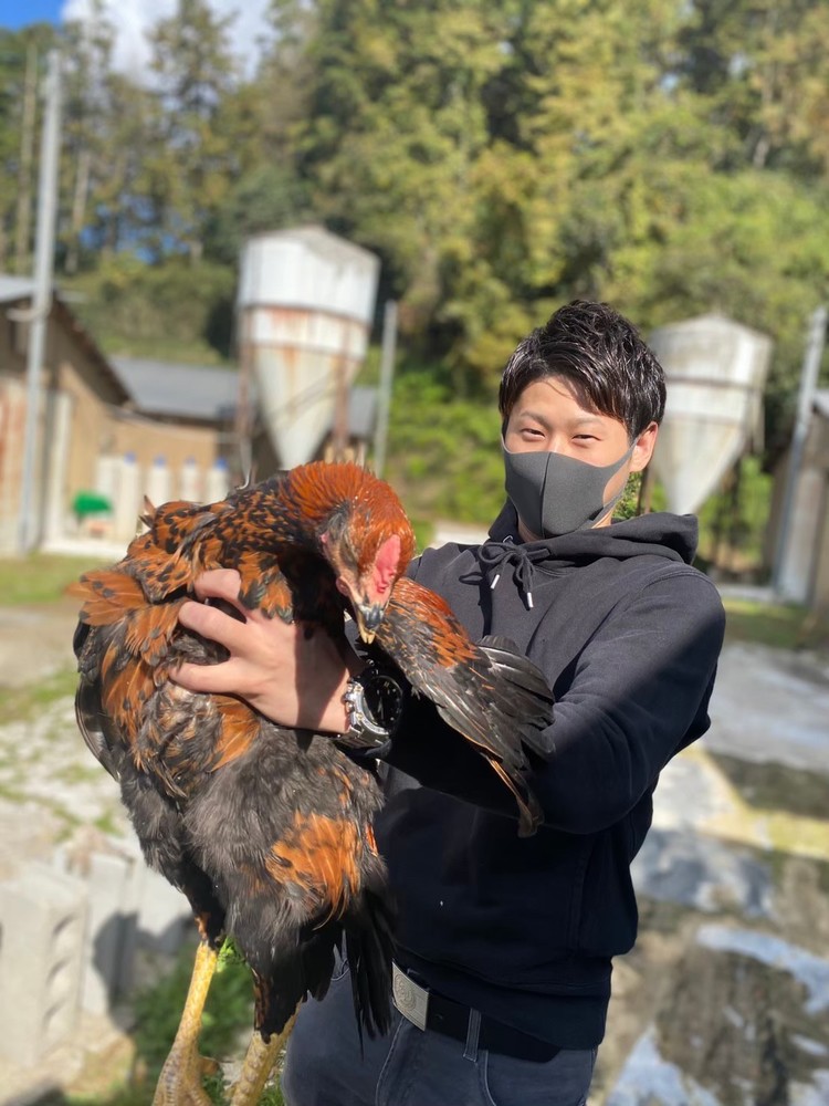 奈良の養鶏場見学