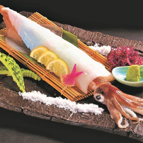 イカは呼子から直送