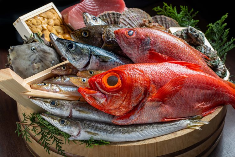 鮮度抜群の魚料理を提供します!