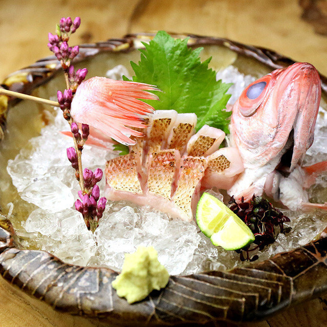 真鯛焼霜造り