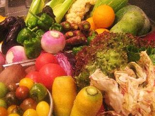 和風イタリアン創作料理 ねこのしっぽ>