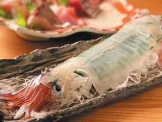 上野イカセンター