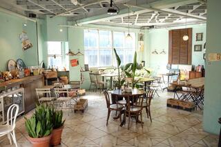 little havana