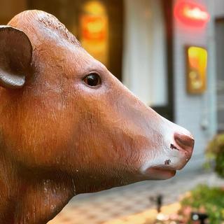 焼肉 燈花(YAKINIKU TO-KA)