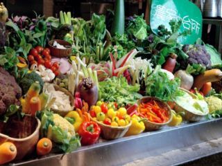 農家の台所 銀座店 野菜のためのビュッフェレストラン の求人情報 求人 飲食店 Com