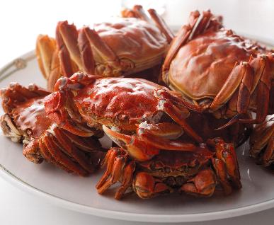 過ごした時間が記憶に残るレストラン