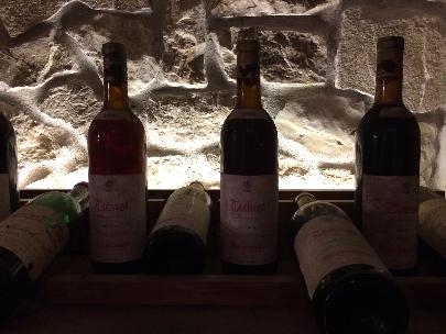 ワインを深く学べる環境！