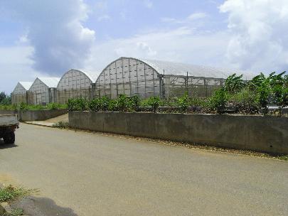 農園がすぐ近くにあります。