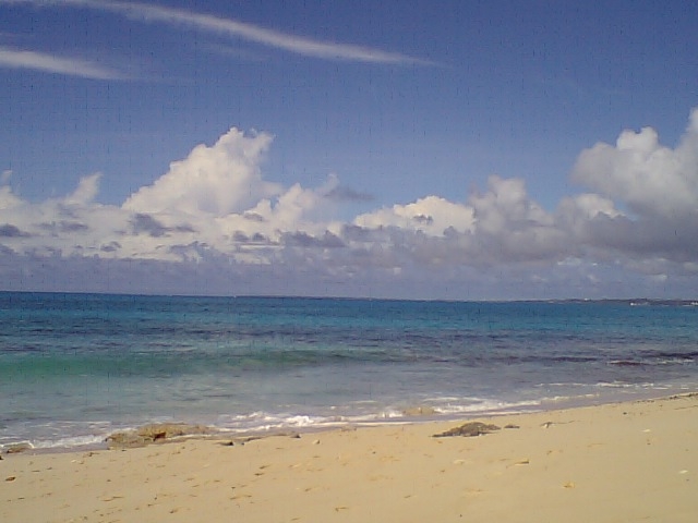 海は日本屈指の透明度です。