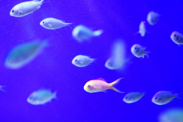 てぃーあんだ堀江店 沖縄ダイニング の求人情報 求人 飲食店 Com