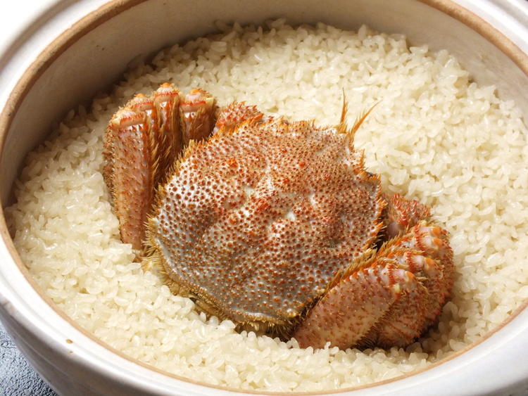 のびのびと働きながらスキルを磨けます