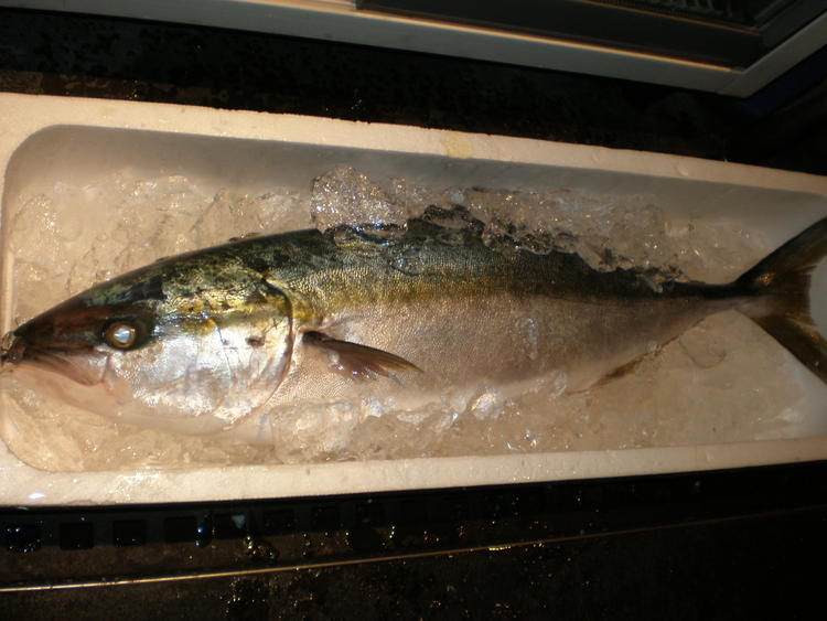 てしごとや 霽月 せいげつ 神楽坂店 昭和レトロな雰囲気の炉端があるカジュアルな居酒屋 の求人情報 求人 飲食店 Com