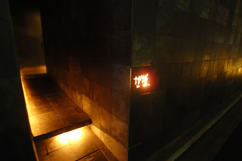 比内、コーチン、甲州地鶏の焼き鳥☆