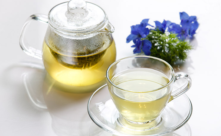 FOREST LOUNGEの詳細画像4