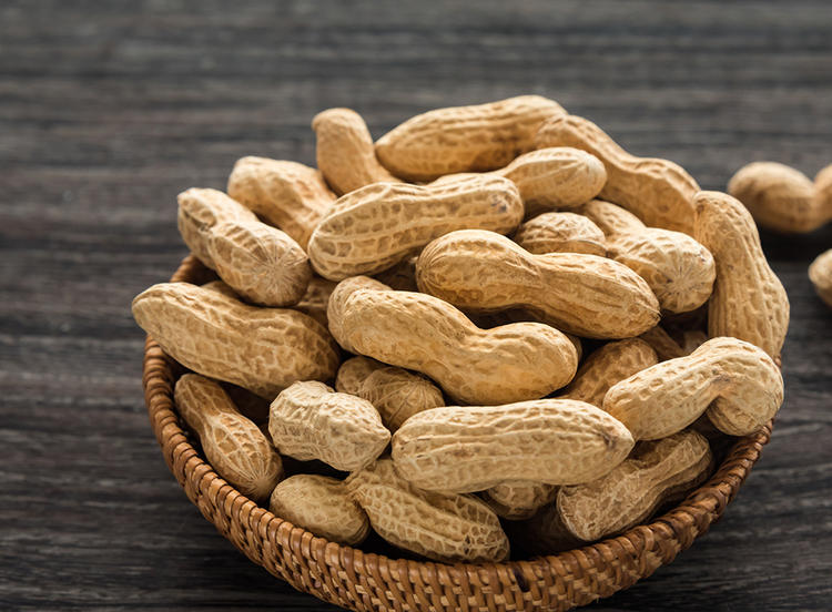 世界各国から厳選素材を仕入れています！