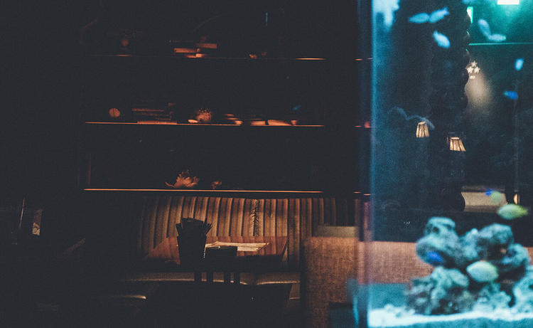 アクアリウム 魚イタリアン心斎橋ライム アクアリウムダイニング イタリアン の求人情報 求人 飲食店 Com